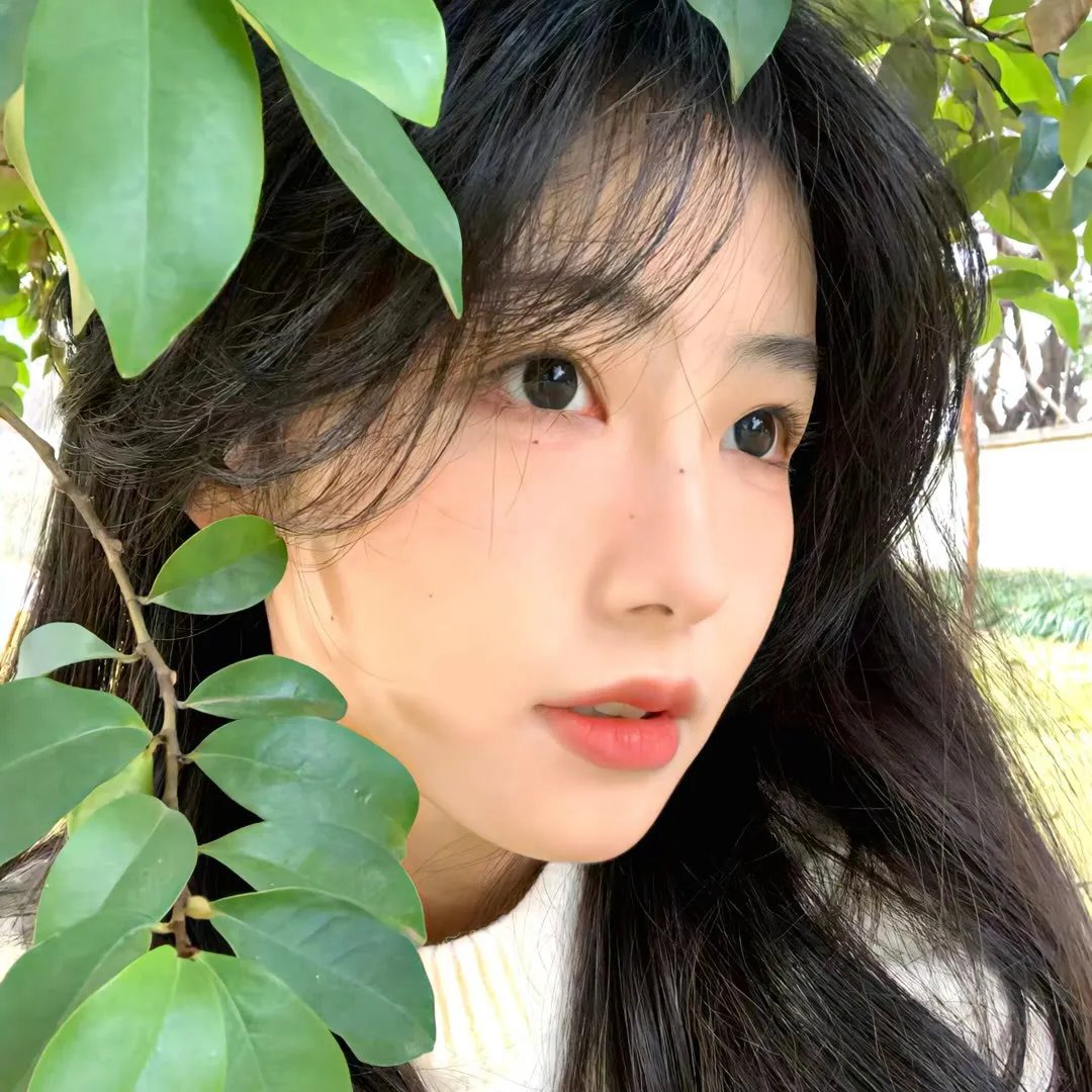 罗马夜禁色