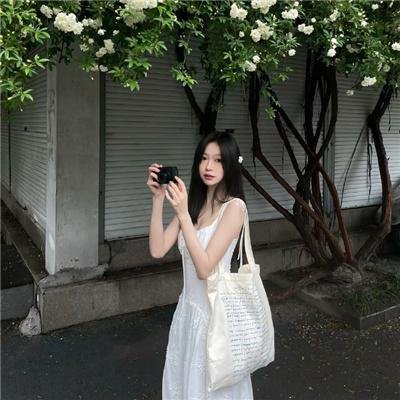 凤凰栖满山